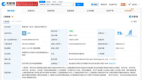螞蟻數(shù)科在武漢成立信息技術(shù)公司，深化技術(shù)咨詢布局